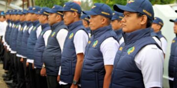 WhatsApp Image 2025 11 20 at 11.34.48