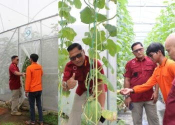 Lapas Bengkulu, Pembinaan Kemandirian, Urban Farming, Toboponik Bengkulu, Ikona Melon Toboponik, Julianto Budhi Prasetyono, Direktorat Jenderal Pemasyarakatan, WBP, Pertanian Modern, Kolaborasi Lapas