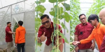 Lapas Bengkulu, Pembinaan Kemandirian, Urban Farming, Toboponik Bengkulu, Ikona Melon Toboponik, Julianto Budhi Prasetyono, Direktorat Jenderal Pemasyarakatan, WBP, Pertanian Modern, Kolaborasi Lapas