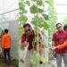 Dorong Urban Farming, Lapas Bengkulu Tinjau Budidaya Melon Toboponik 14 Lapas Bengkulu, Pembinaan Kemandirian, Urban Farming, Toboponik Bengkulu, Ikona Melon Toboponik, Julianto Budhi Prasetyono, Direktorat Jenderal Pemasyarakatan, WBP, Pertanian Modern, Kolaborasi Lapas