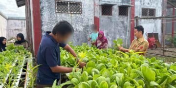 Rutan Bengkulu Panen Hasil Pertanian