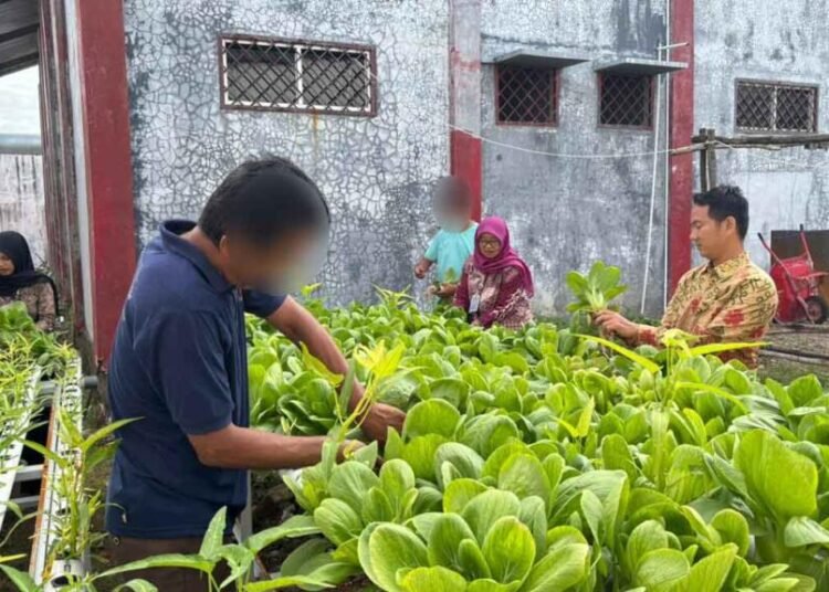 Rutan Bengkulu Panen Hasil Pertanian
