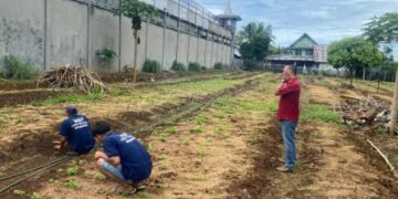 Gambar WhatsApp 2025 12 12 pukul 10.38.00 df37c2e1