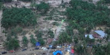 PLN Terus Pulihkan Listrik Aceh, Crane Disulap Jadi Tower Darurat