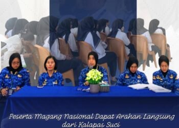 WhatsApp Image 2025 12 01 at 11.52.41