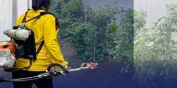 WhatsApp Image 2025 12 08 at 16.07.00