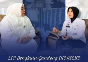 WhatsApp Image 2025 12 09 at 16.50.11