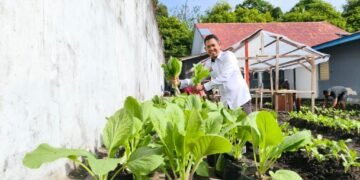 WhatsApp Image 2025 12 10 at 20.14.16 3c870c36