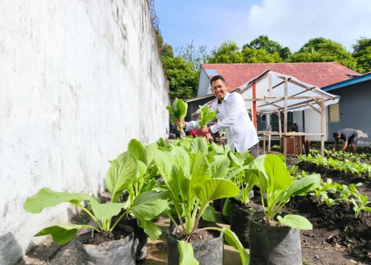 WhatsApp Image 2025 12 10 at 20.14.16 3c870c36