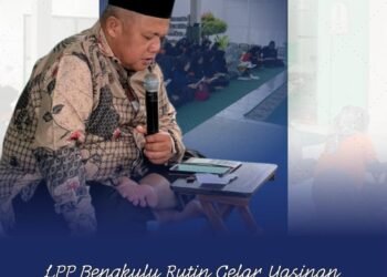 WhatsApp Image 2025 12 11 at 10.53.15