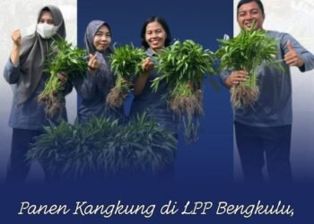 WhatsApp Image 2025 12 12 at 09.44.37