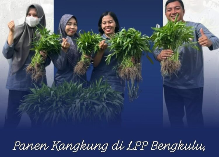 WhatsApp Image 2025 12 12 at 09.44.37