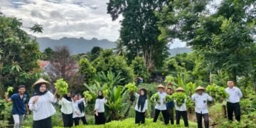 WhatsApp Image 2025 12 15 at 15.55.49 49e0505f