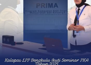 WhatsApp Image 2025 12 16 at 20.17.54