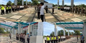 WhatsApp Image 2025 12 17 at 08.41.06