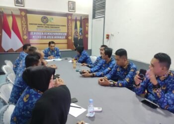 WhatsApp Image 2025 12 17 at 11.09.59