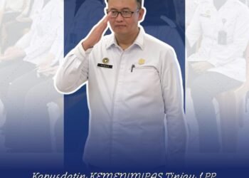 WhatsApp Image 2025 12 24 at 15.44.50