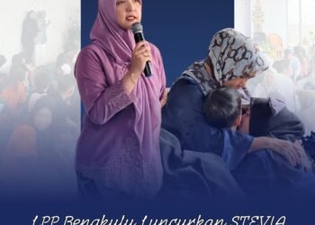 WhatsApp Image 2025 12 27 at 13.56.15