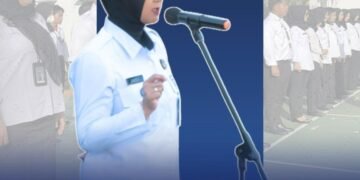 WhatsApp Image 2025 12 29 at 11.38.26