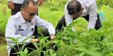Lapas Bengkulu, Budidaya Kangkung, Pembinaan Produktif, Kemandirian Pangan, 15 Program Aksi Kemenimipas 2026, Agro Edukasi Lapas, Reintegrasi Sosial