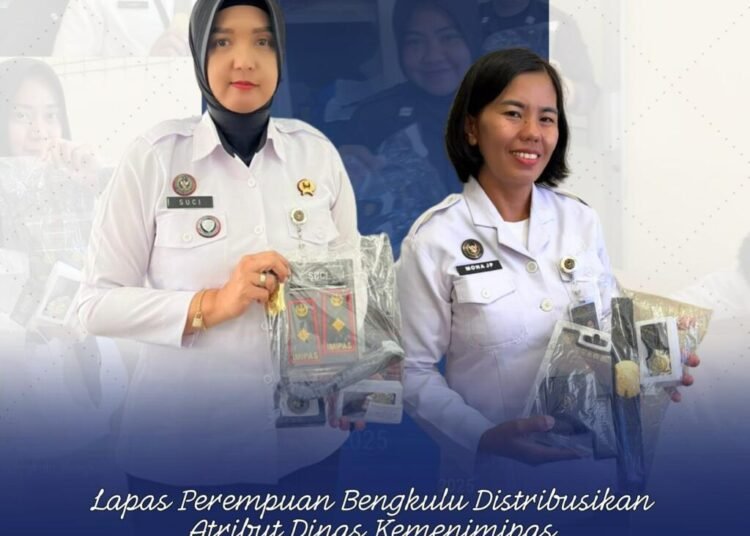 WhatsApp Image 2025 12 30 at 13.15.27