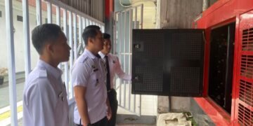 WhatsApp Image 2025 12 31 at 12.17.06 1