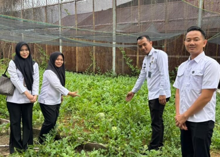 WhatsApp Image 2025 12 31 at 12.17.21 1