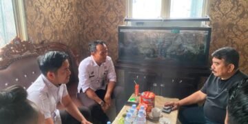 WhatsApp Image 2025 12 31 at 15.24.06