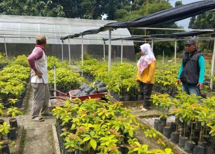 IMG 20260129 WA0018 768x1024 1