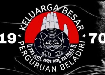 IMG 20260106 024734 175