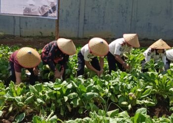 IMG 20260115 105911 781