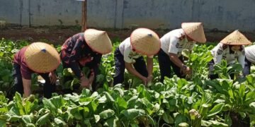 IMG 20260115 105911 781