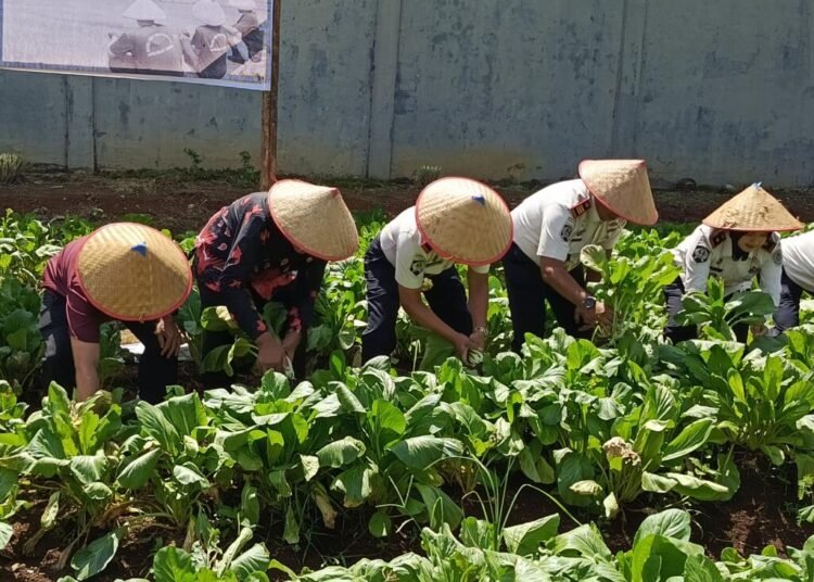 IMG 20260115 105911 781