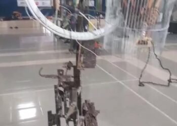 IMG 20260124 100006 822