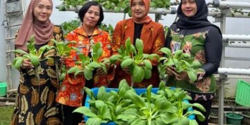 WhatsApp Image 2026 01 03 at 10.06.34