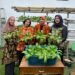 LPP Bengkulu Panen Pakcoy, Wujud Pembinaan Kemandirian Warga Binaan 14 WhatsApp Image 2026 01 03 at 10.06.34