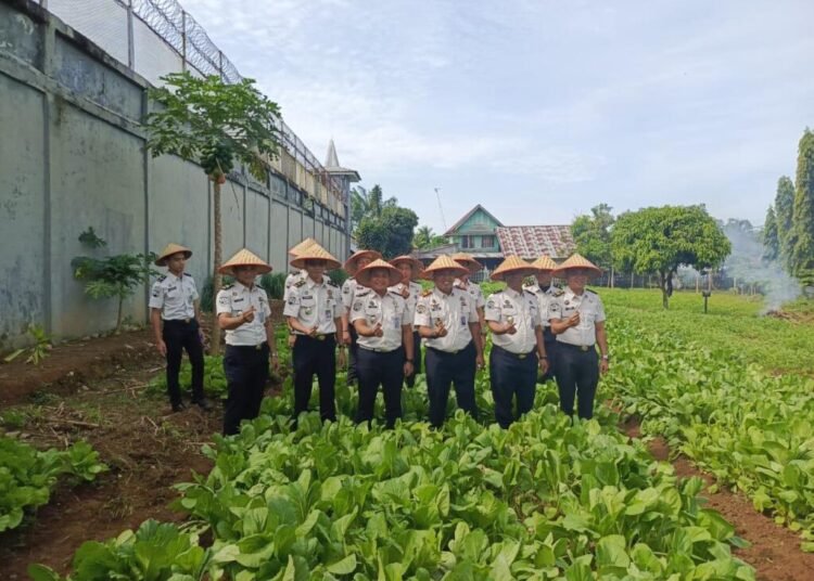 Lapas Arga Makmur Panen 60 Kg Sawi, Wujud Nyata Dukung Ketahanan Pangan 1 WhatsApp Image 2026 01 05 at 10.33.00 1