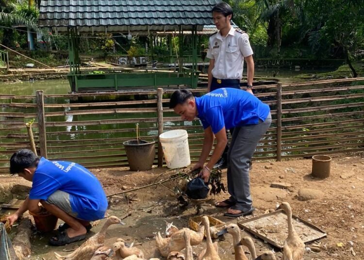 WhatsApp Image 2026 01 07 at 11.24.22 3