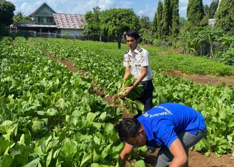 WhatsApp Image 2026 01 07 at 11.24.24 2