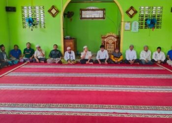 WhatsApp Image 2026 01 12 at 10.29.08