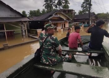 WhatsApp Image 2026 01 13 at 08.21.16