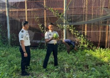 WhatsApp Image 2026 01 13 at 10.44.41 1