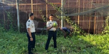 WhatsApp Image 2026 01 13 at 10.44.41 1