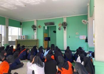 WhatsApp Image 2026 01 13 at 10.51.04