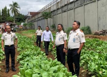 Lapas Arga Makmur Matangkan Persiapan Panen Raya, Wujudkan Pembinaan Kemandirian WBP 3 WhatsApp Image 2026 01 14 at 14.33.36