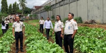 WhatsApp Image 2026 01 14 at 14.33.36