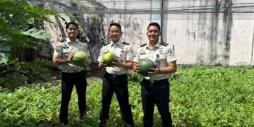 WhatsApp Image 2026 01 15 at 11.09.49