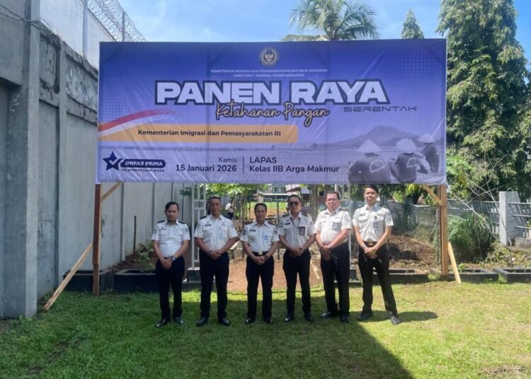 WhatsApp Image 2026 01 15 at 13.41.40