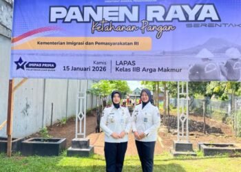 WhatsApp Image 2026 01 15 at 15.04.00