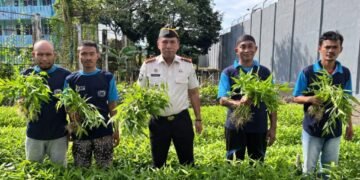 WhatsApp Image 2026 01 15 at 15.22.35